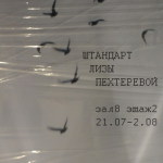 В ЦДХ  с 21. 07 по 02. 08 пройдет выставка фото Лизы Пехтеревой "ШТАНДАРТ"